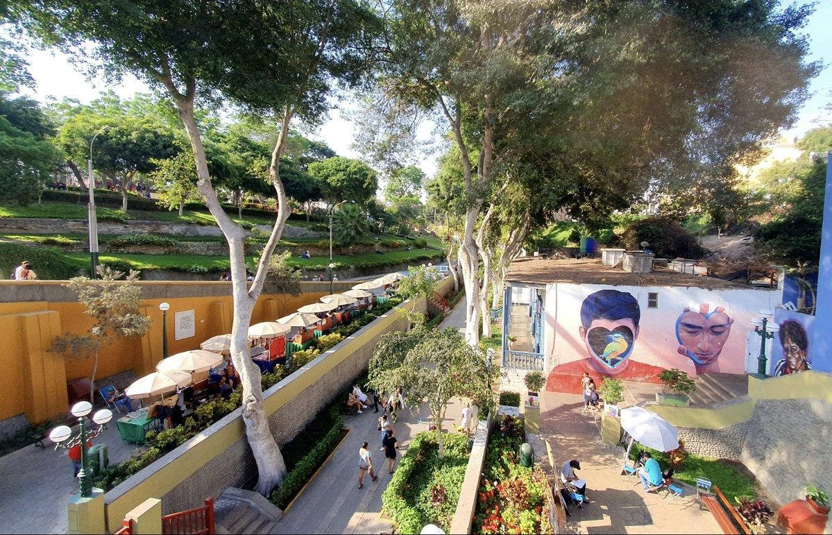 Tom 🦘 tweet media