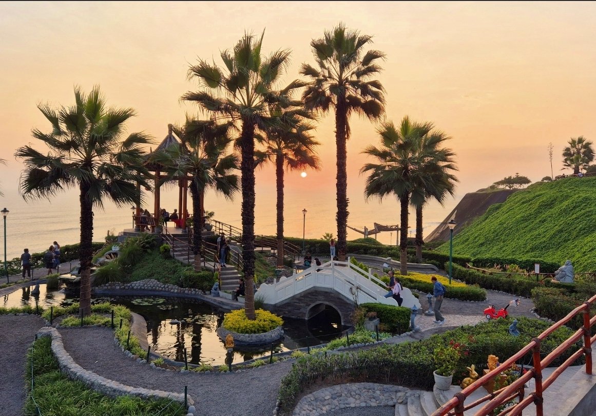 Tom 🦘 tweet media