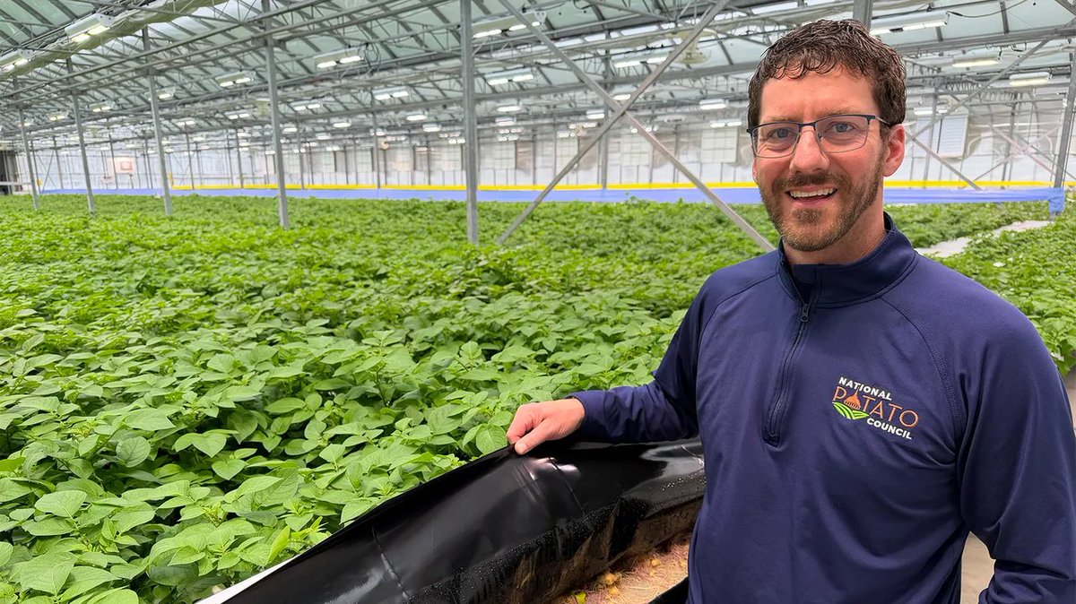 National Potato Council tweet media