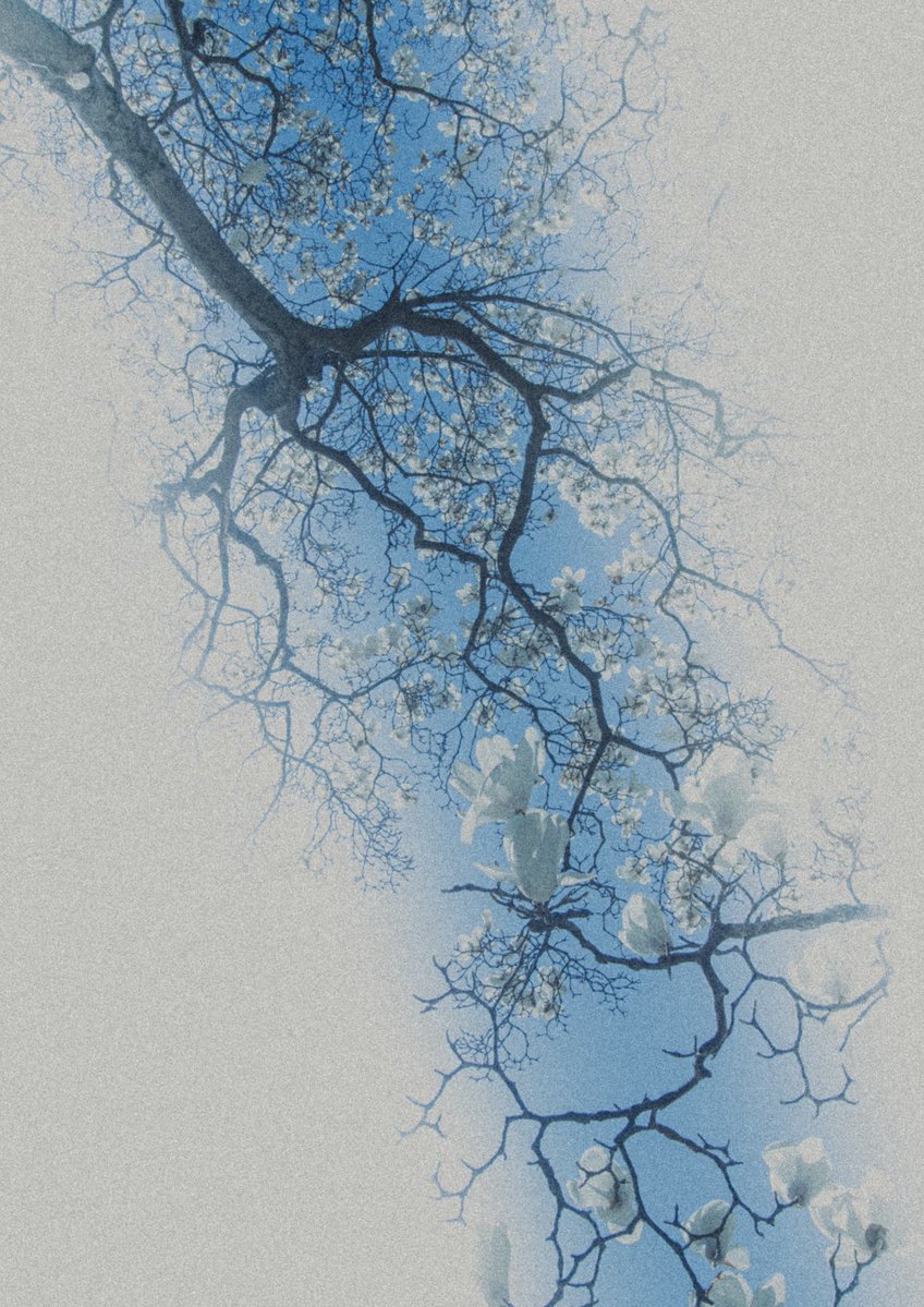 三浦勇人 tweet media