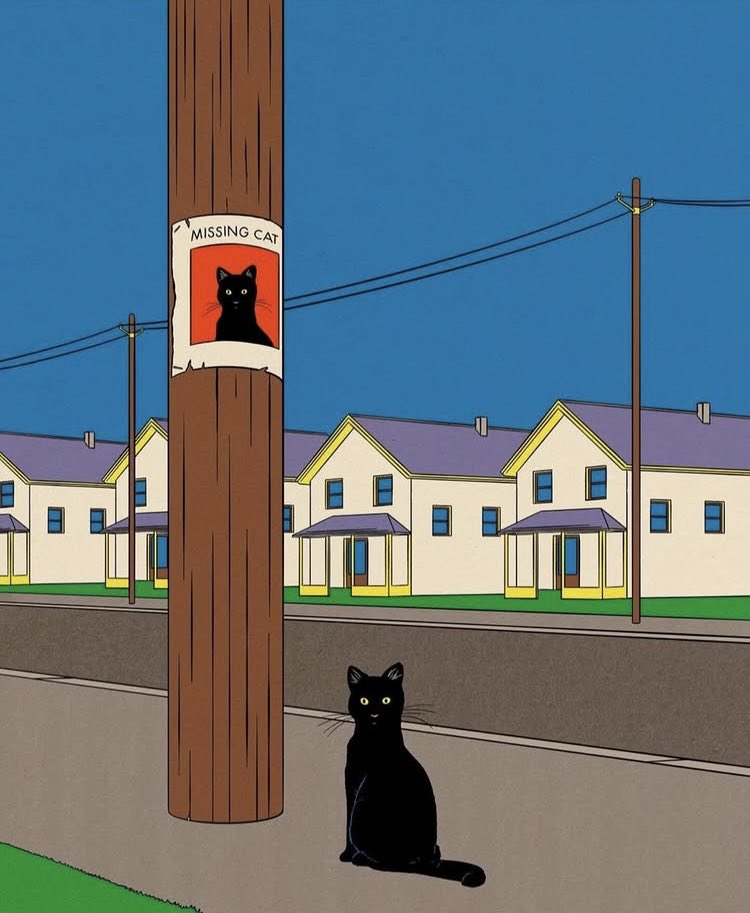 La vida en viñetas tweet media