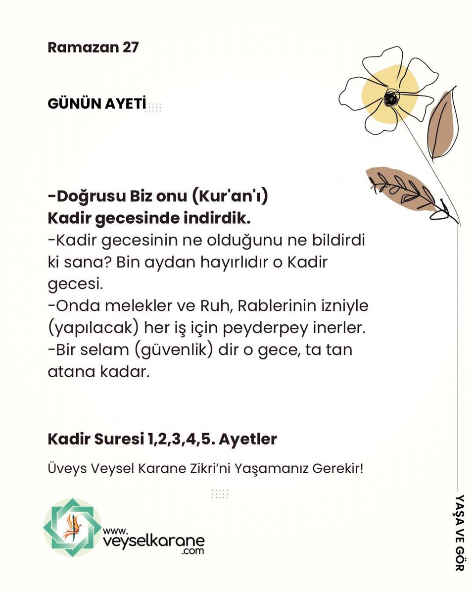 Özlem Okul tweet media