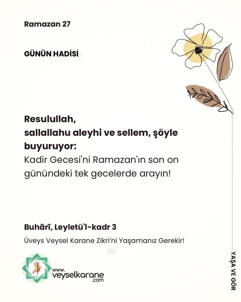 Özlem Okul tweet media