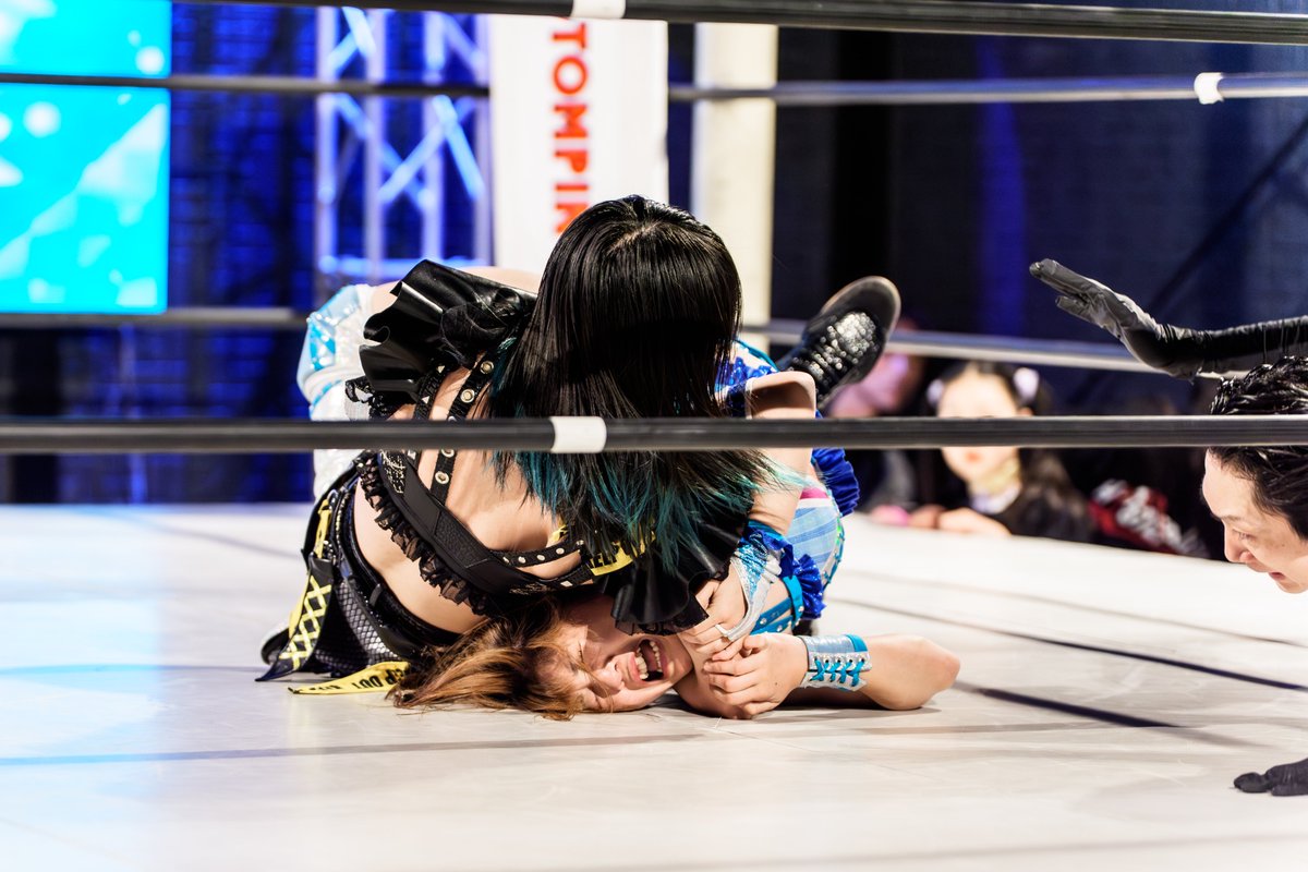 ＴＯＫＩＦＵＪＩ tweet media