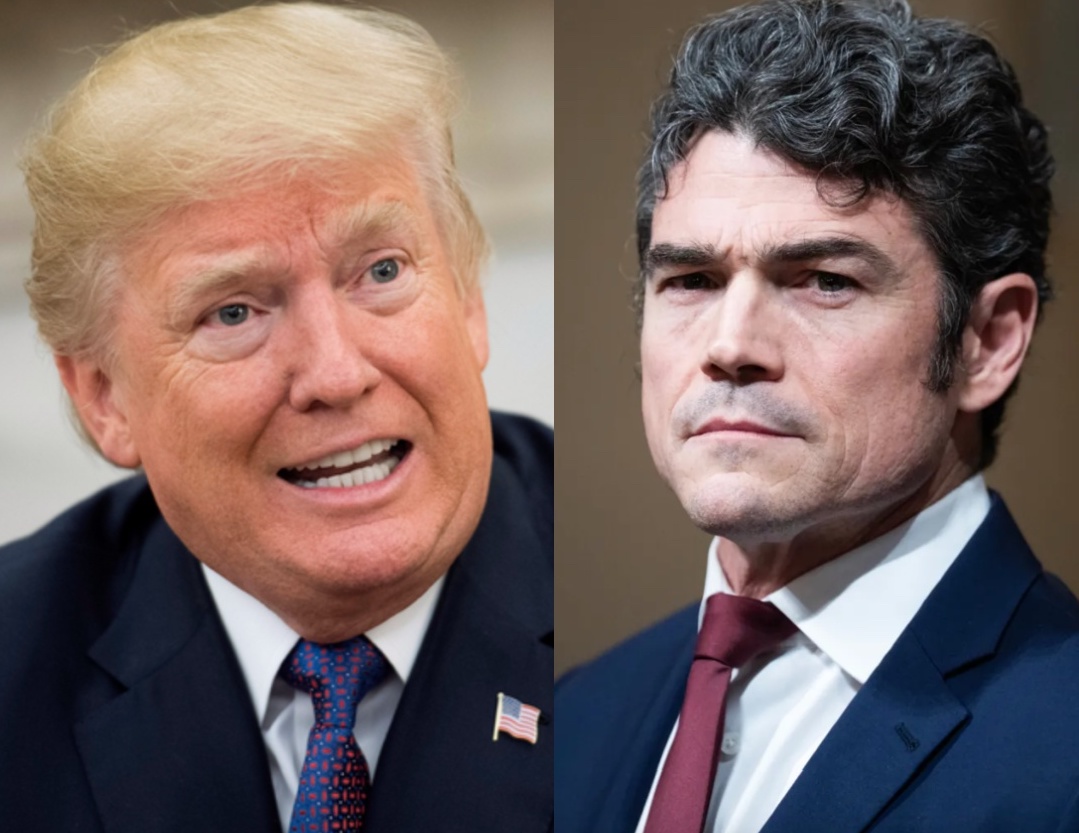 Occupy Democrats tweet media