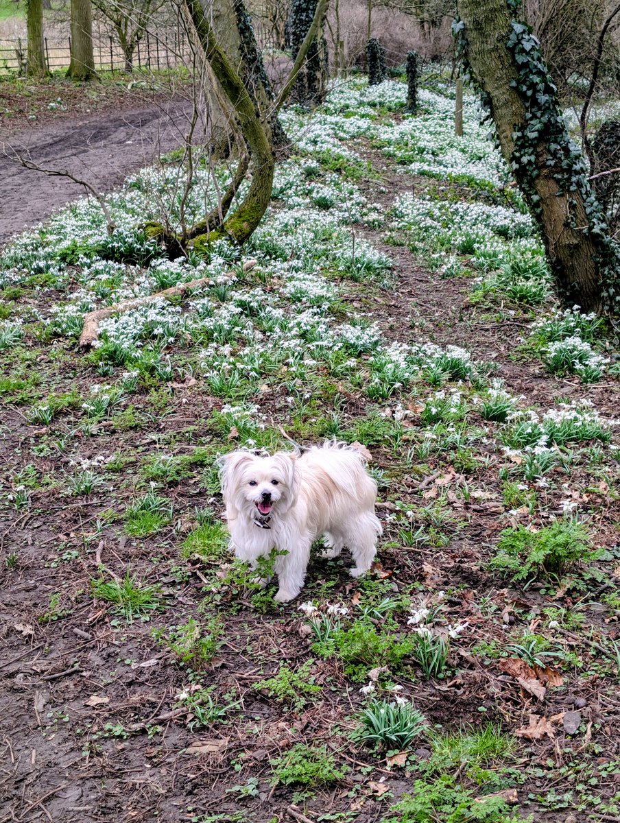 Papadopoli60571's tweet image. #Trail Tuesday