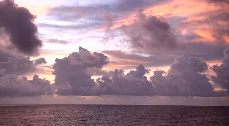 Moonlight Minx tweet media