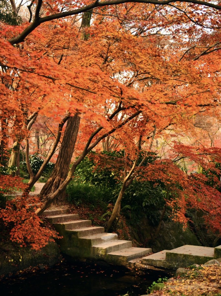 samantha tweet media