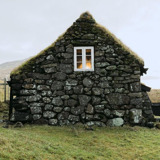 Plain Runner tweet media