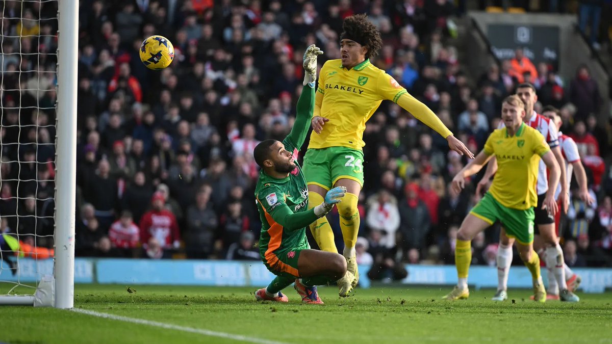 Norwich City Updates tweet media