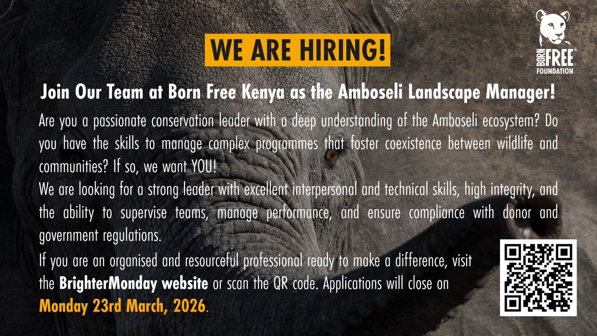 Born Free Foundation Kenya tweet media