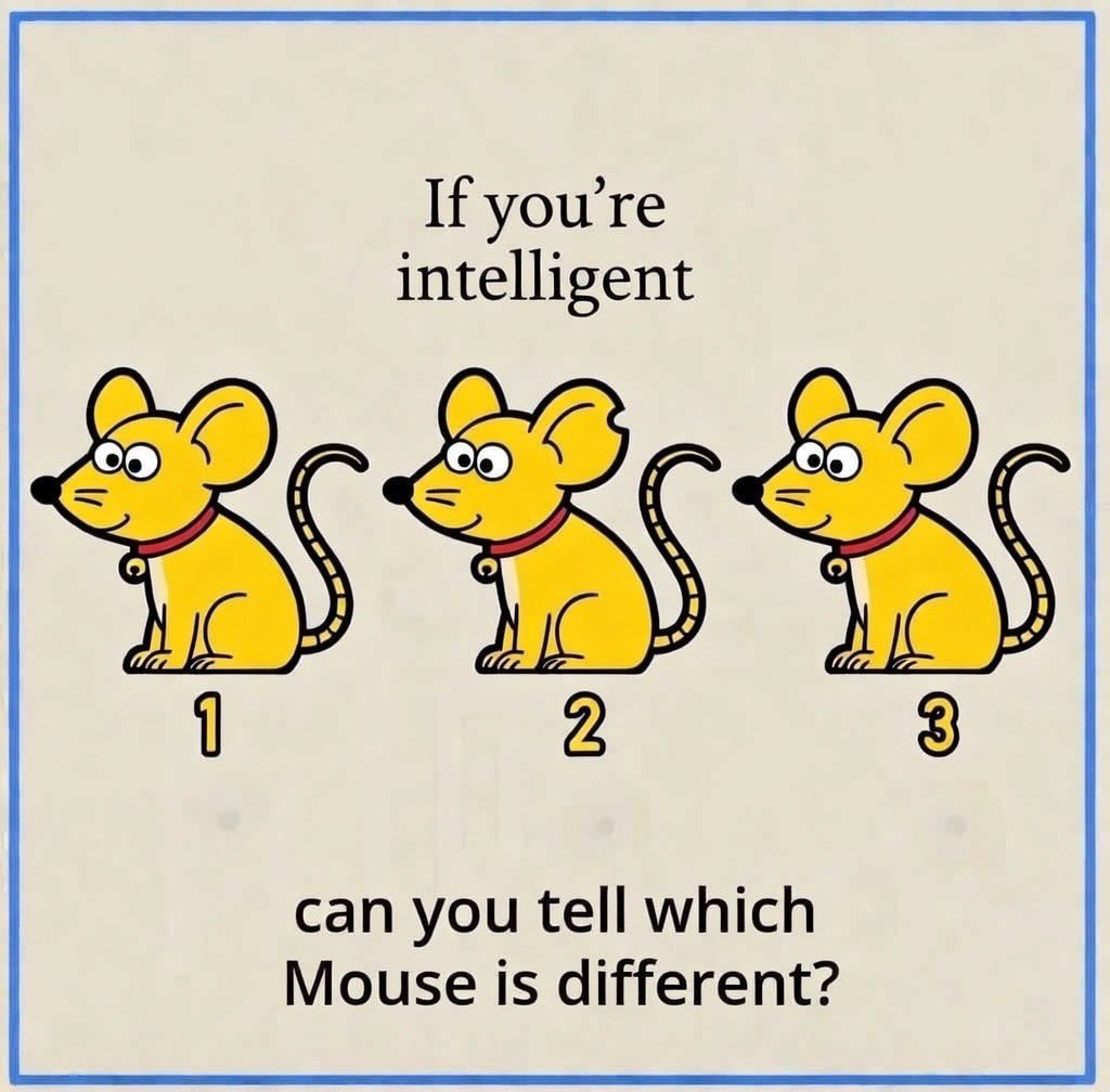 FAN MAGA MUSK* tweet media