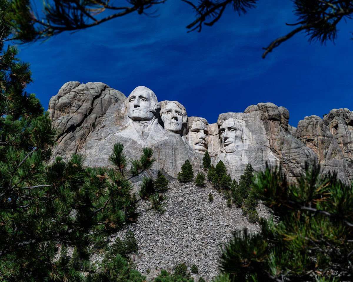 Don Risi Photography tweet media