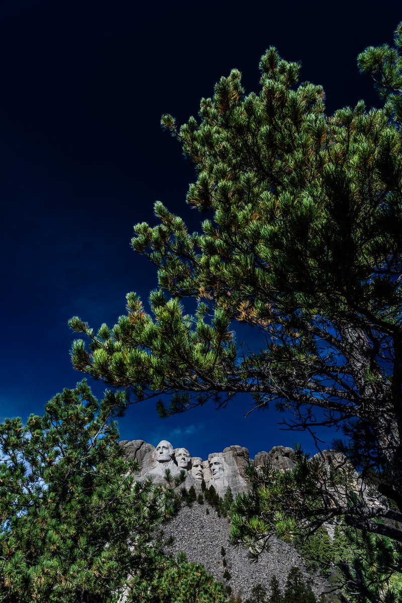 Don Risi Photography tweet media