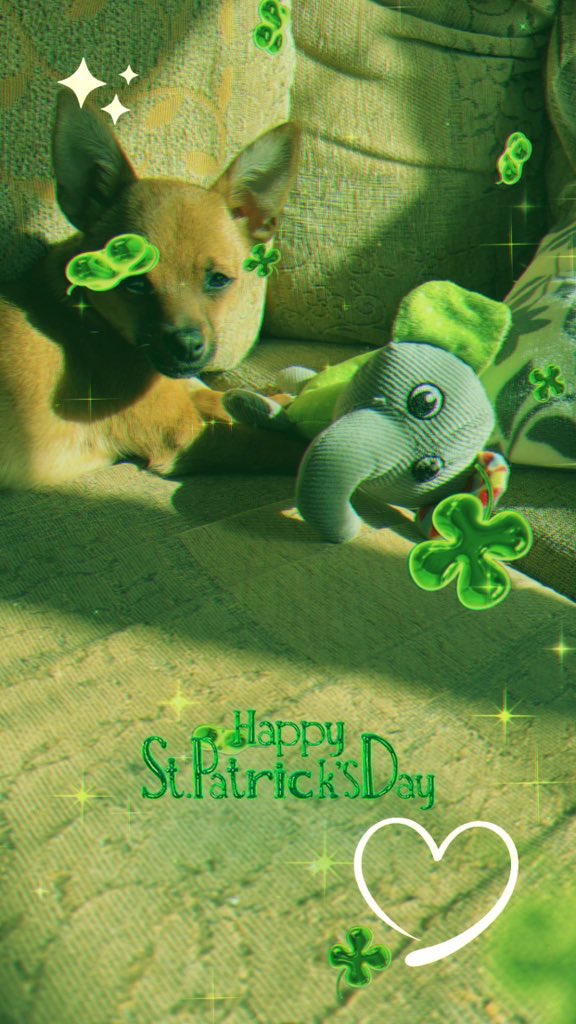 PaulaO'Connor music (@paulaoconnor) on Twitter photo 