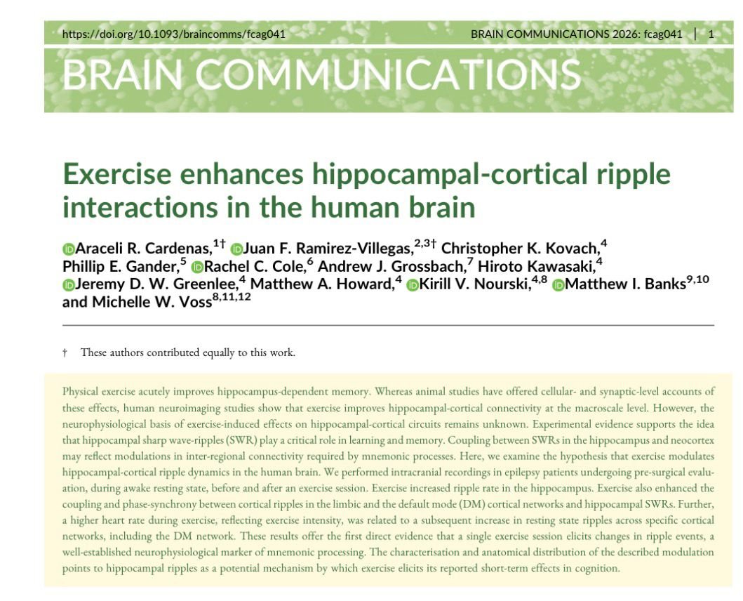 A single 20-minute workout literally rewires your brain’s memory networks in real-time

▶️We have long known that exercise is good for the brain, but a groundbreaking study just published in Brain Communications (March 2026) has finally captured the "how" in humans for the first
