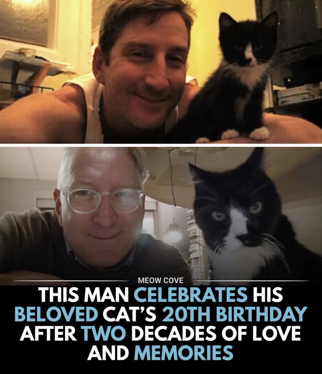 This man celebrates his beloved cat’s 20th birthday after two decades of love and memories