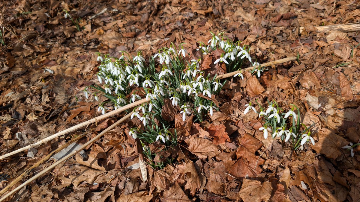 Literally H¡I†ər ¯\_(ツ)_/¯ tweet media