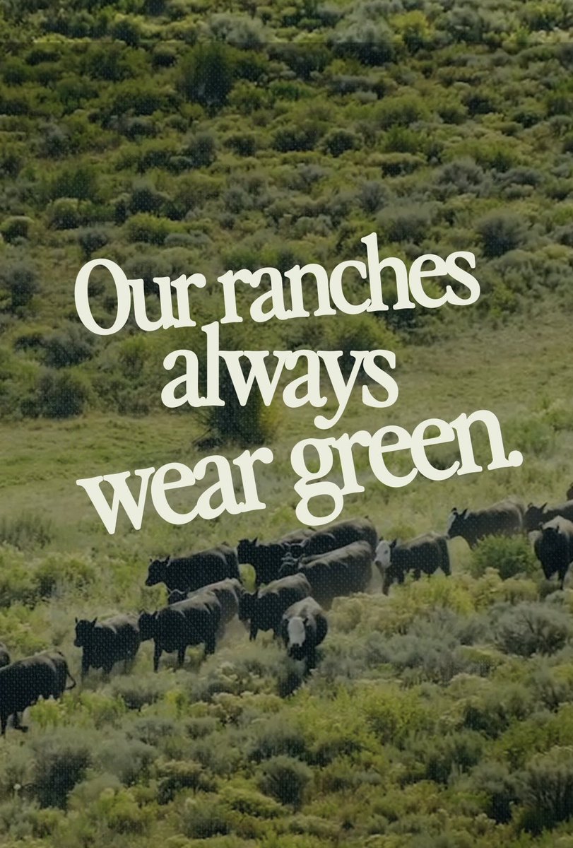 Good Ranchers tweet media