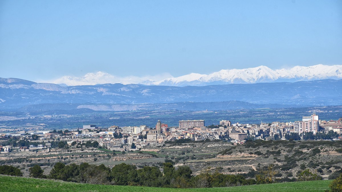 Som Segarra tweet media