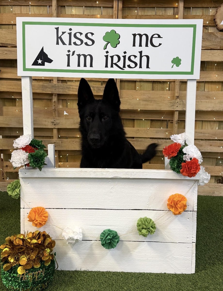 Sig Biggs is holding down the Saint Patrick’s Day celebration while I’m flying to DC to keep working for you. 🍀

Have a wonderful and safe holiday!