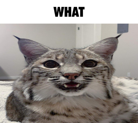 LynxSupremacist's tweet photo. https://t.co/blfgL9kizV