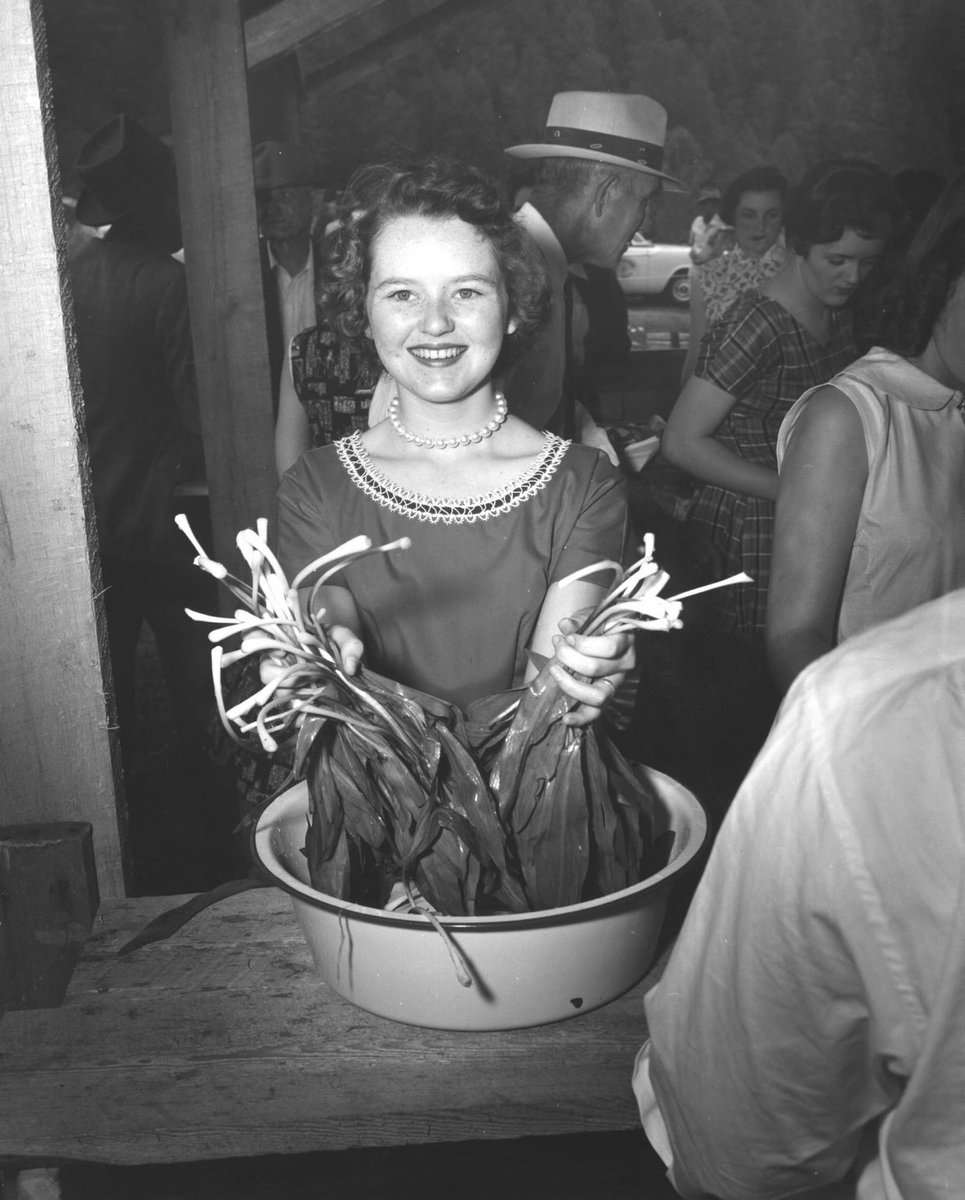 Southern Nordic tweet media