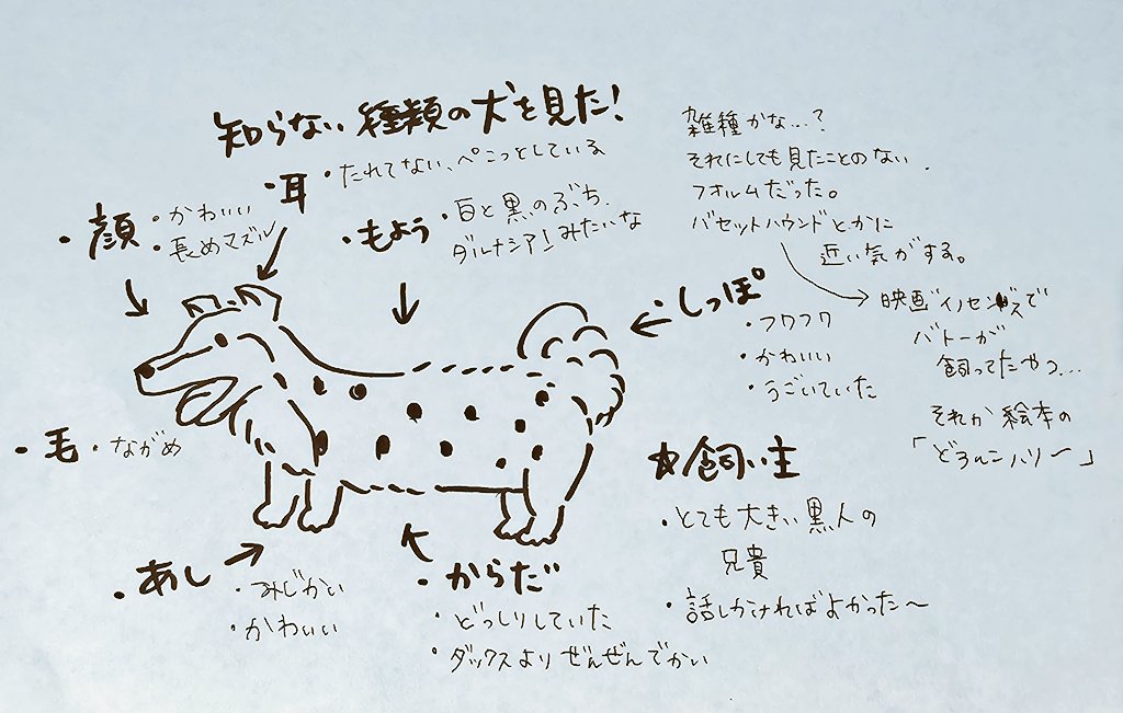 わかさま🦓 tweet media