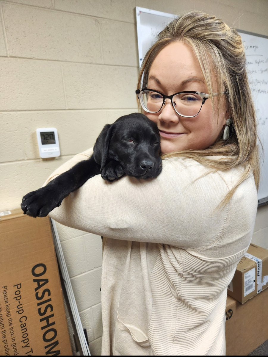 Michigan Talent Together tweet media