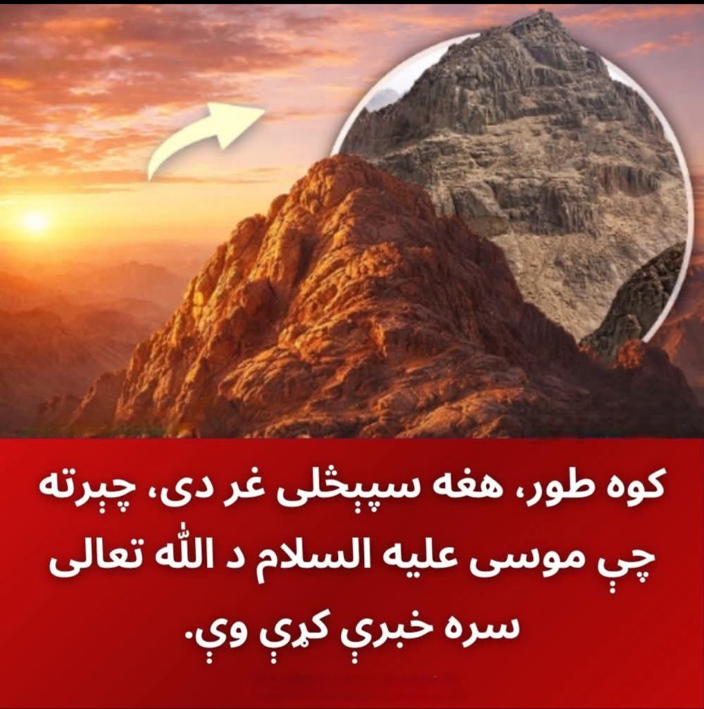 Neamat Rashid tweet media