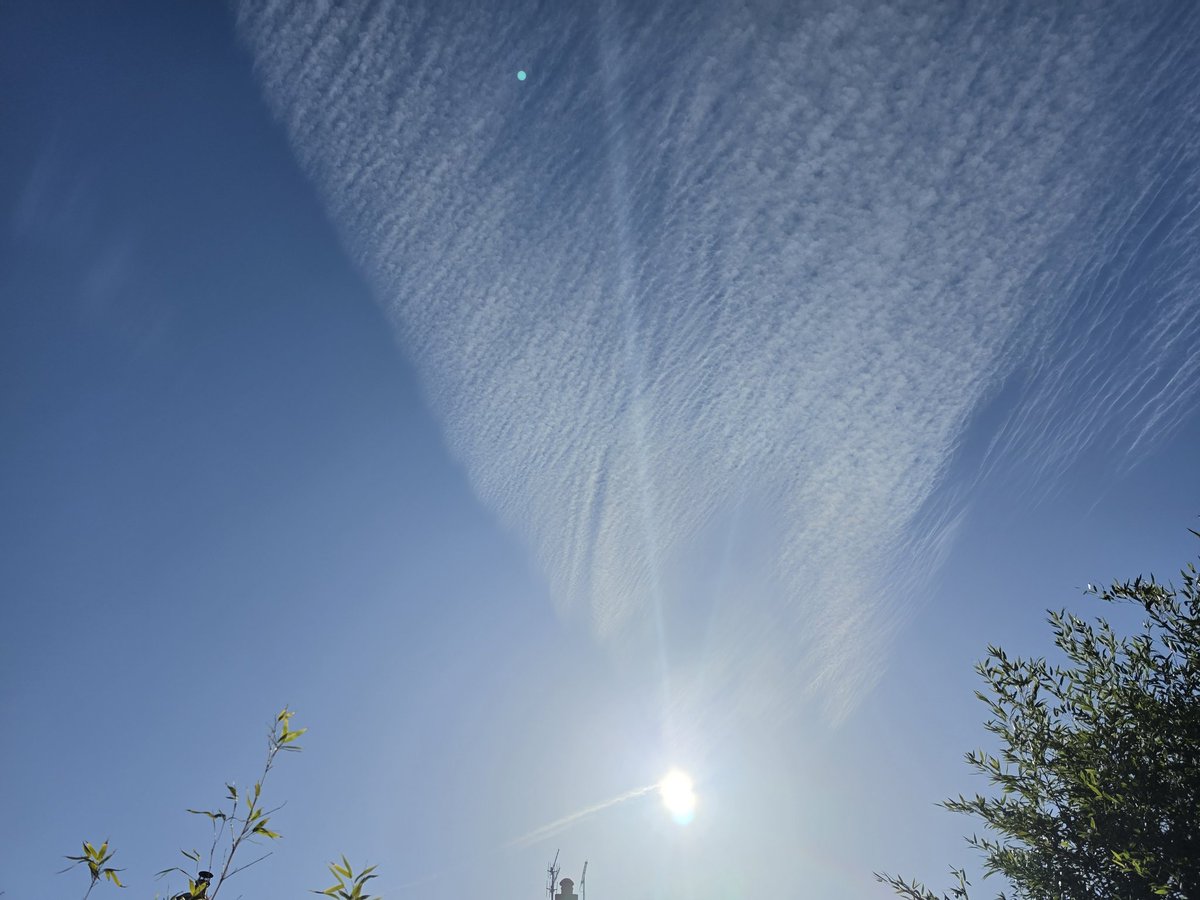 Anti Lockdown Alliance(GLOBAL) tweet media