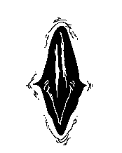 ~~ Artist Of Love ~~ ( Fawn ) tweet media