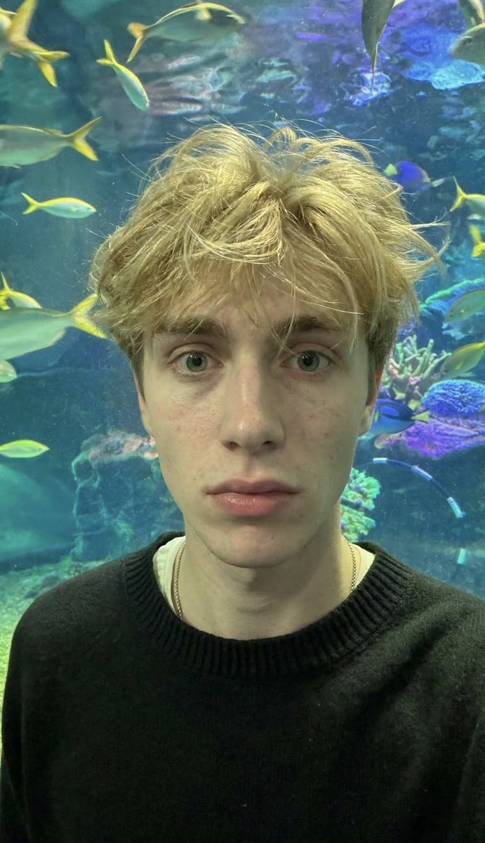 Tom Hermann tweet media