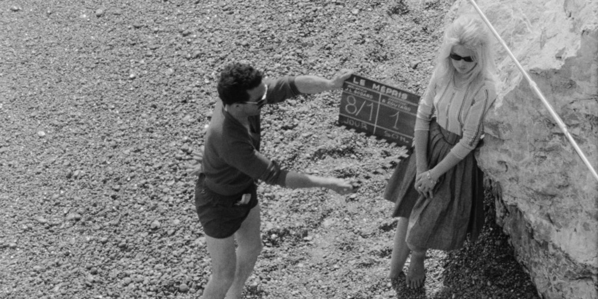 Radiance Films tweet media