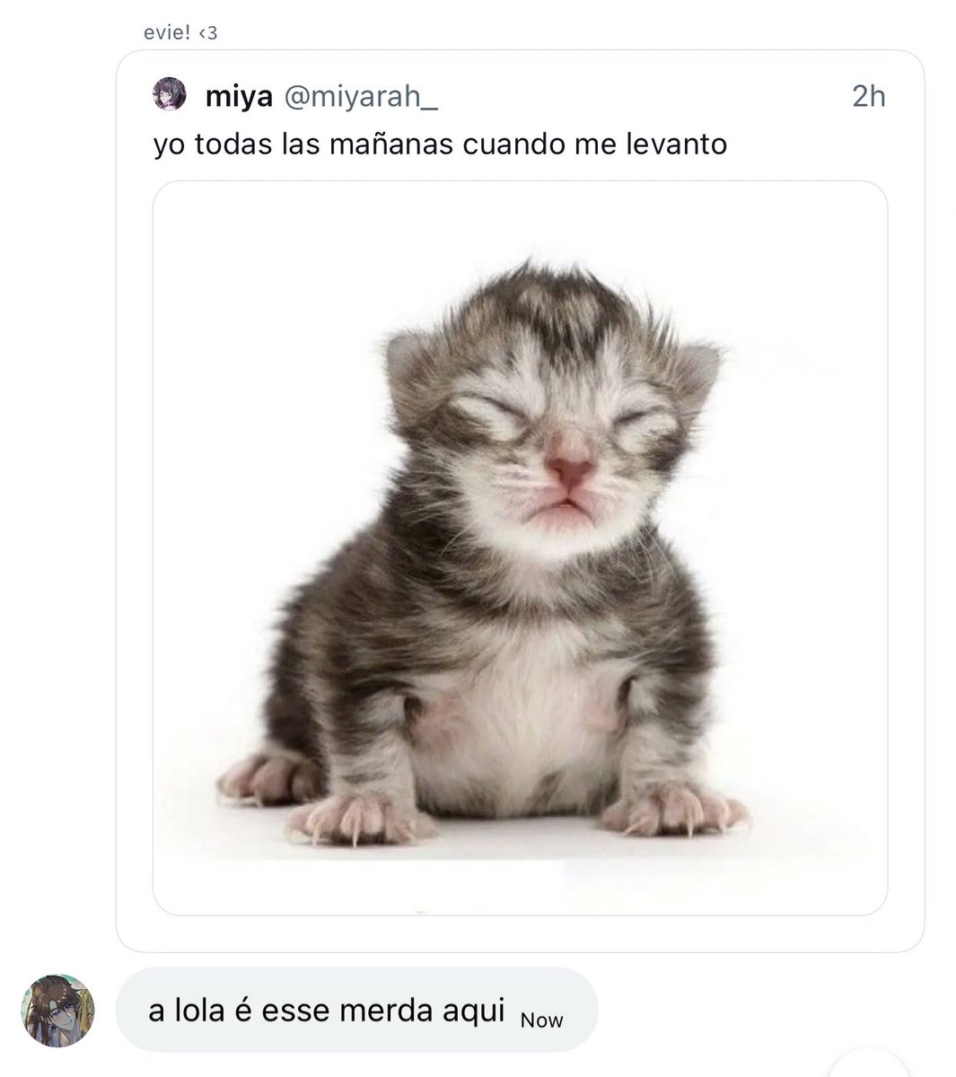 pookiezayne's tweet photo. me sinto tão amada https://t.co/Wsu518OOlA