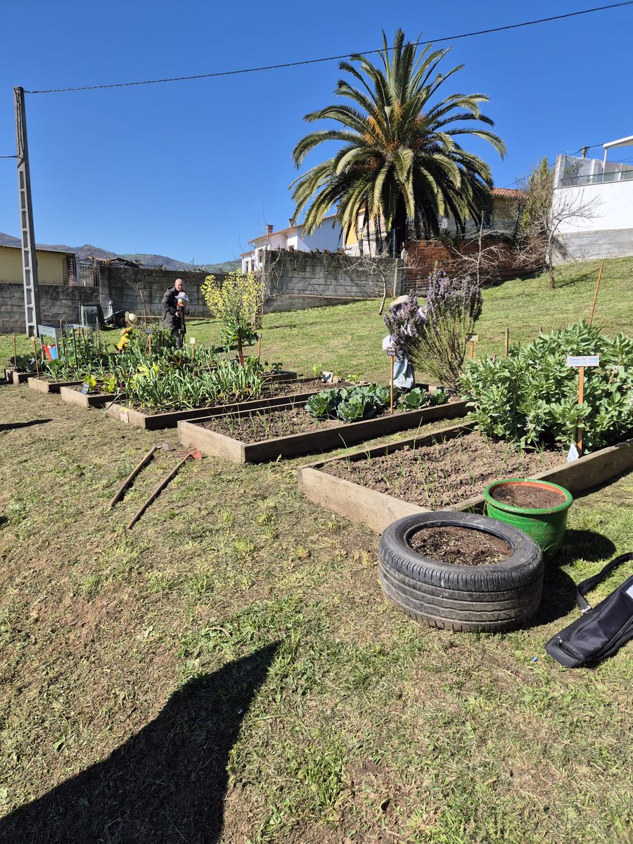 Consejería Medio Rural y Política Agraria tweet media