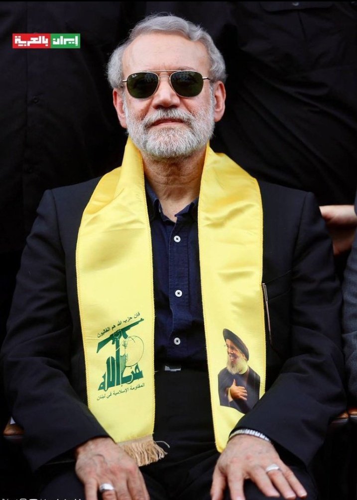 Fatema Haidery tweet media