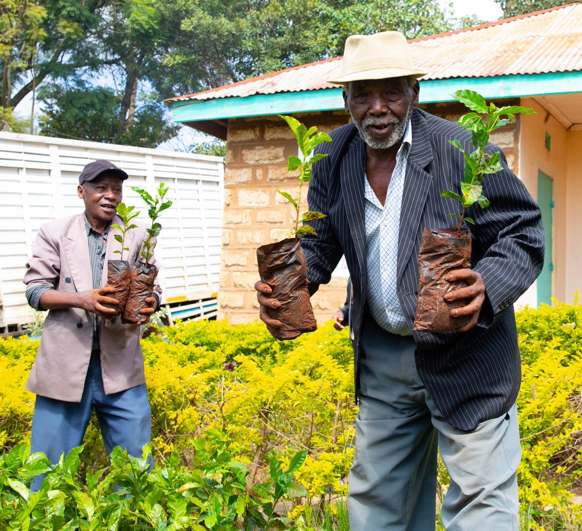 New KPCU PLC tweet media