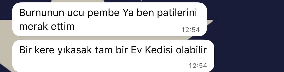 susu ٠࣪⭑ tweet media