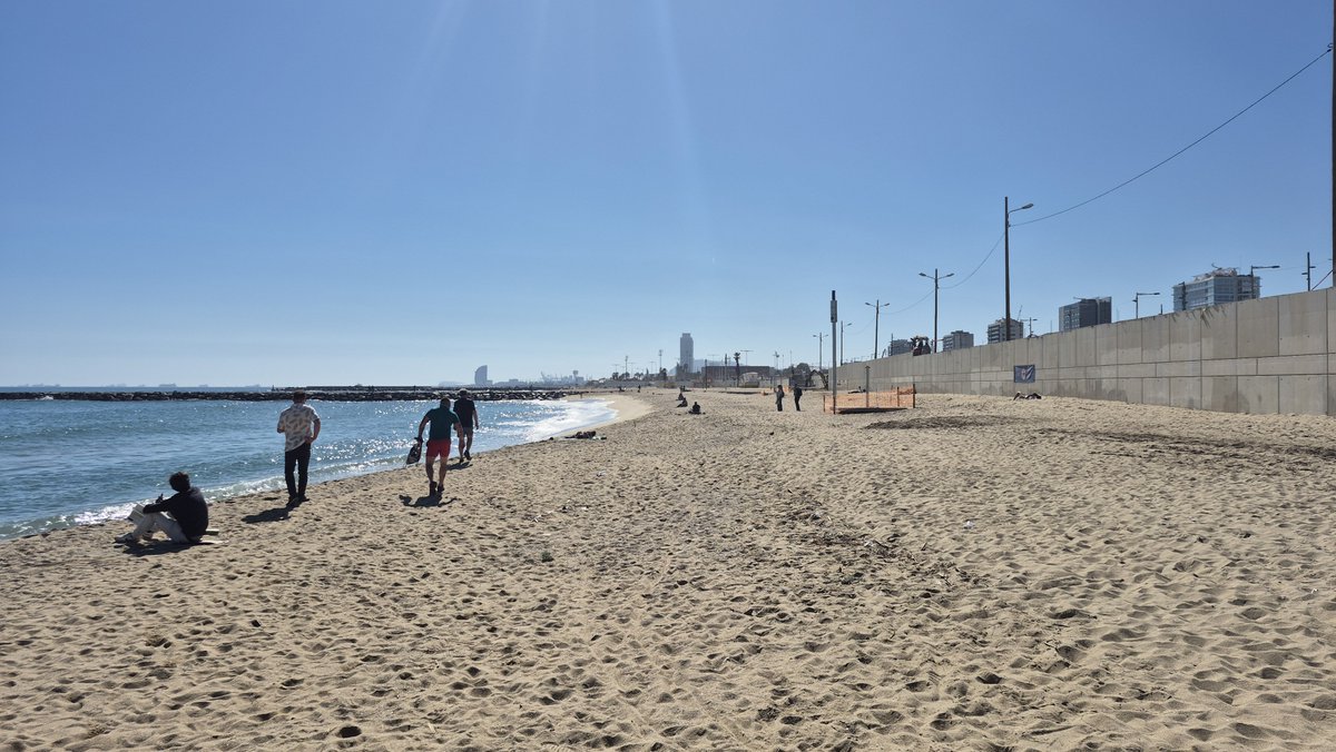 Lee at NFTV tweet media