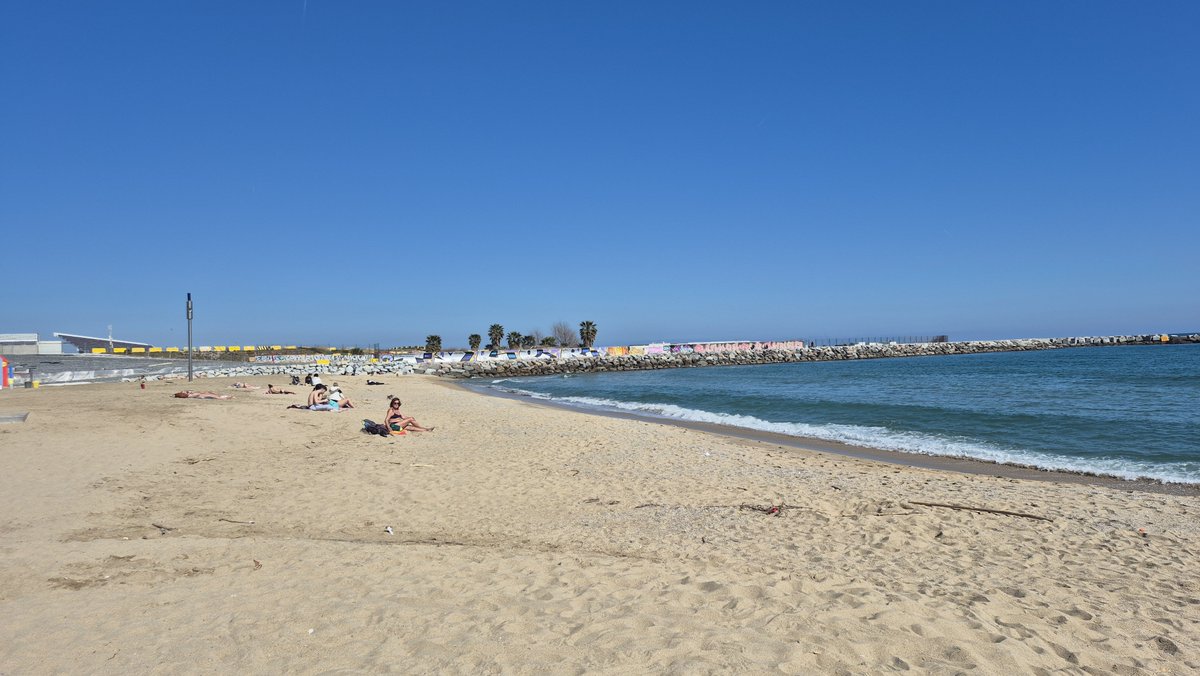 Lee at NFTV tweet media