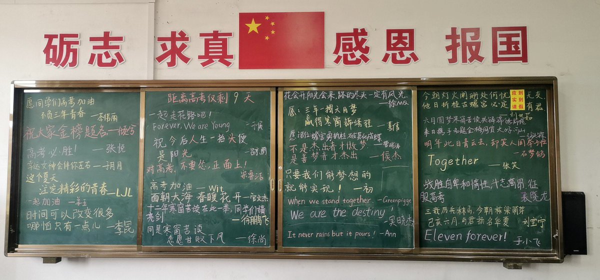 Cristina Arellano tweet media