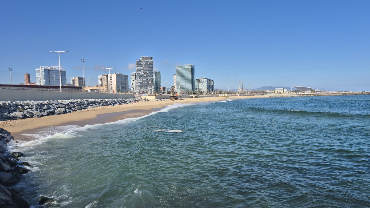 Lee at NFTV tweet media