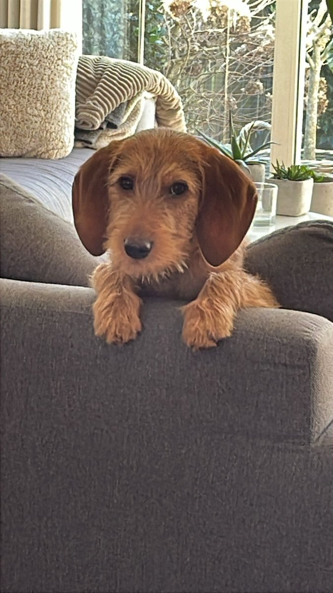 Frans Klovert tweet media