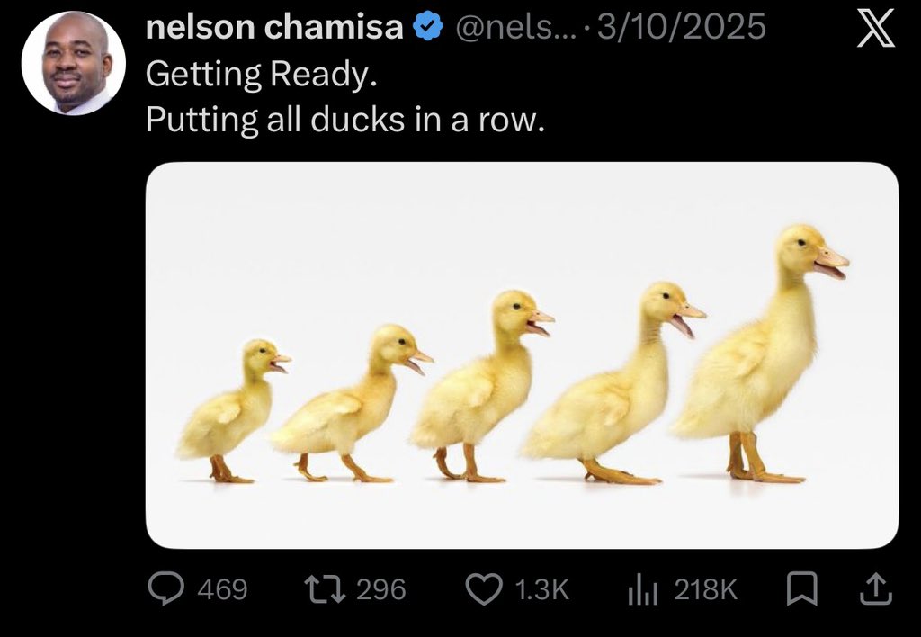 Martin Tafadzwa tweet media