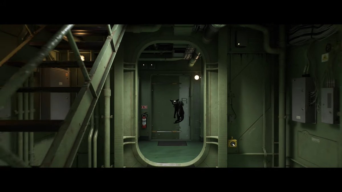 杉の木 tweet media