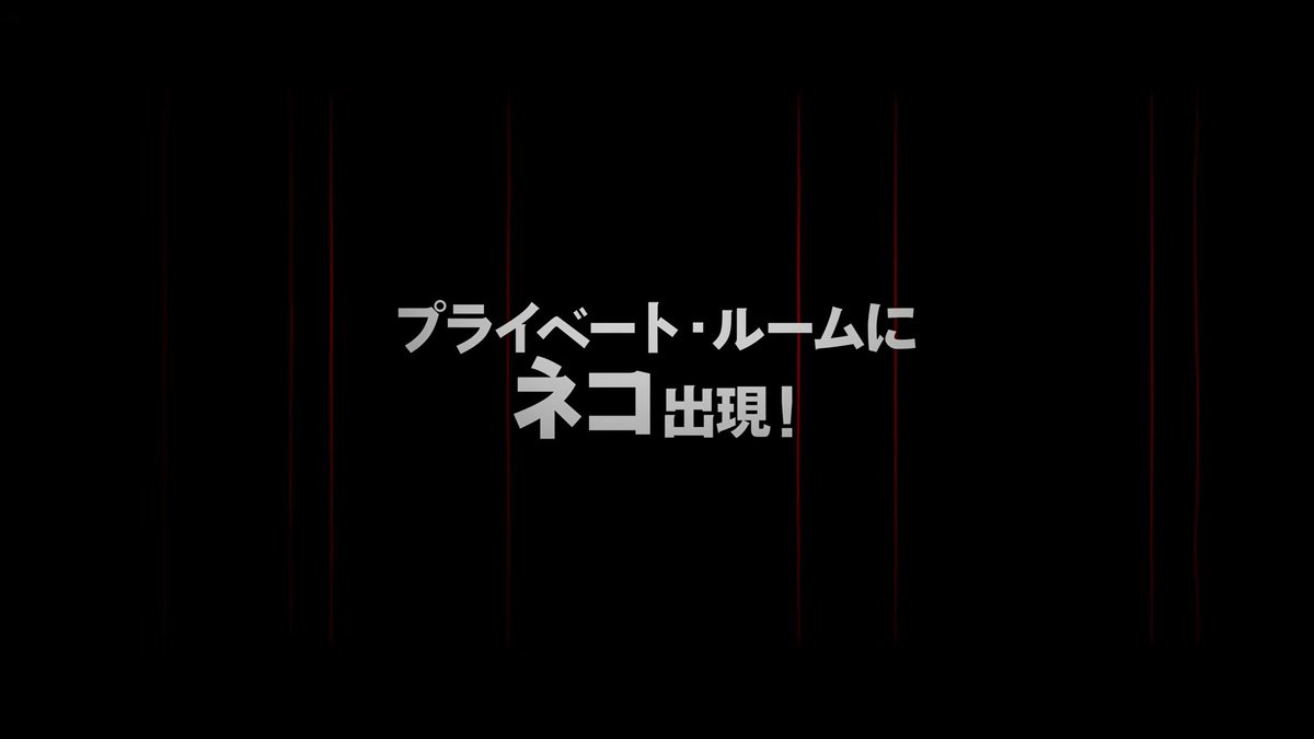杉の木 tweet media