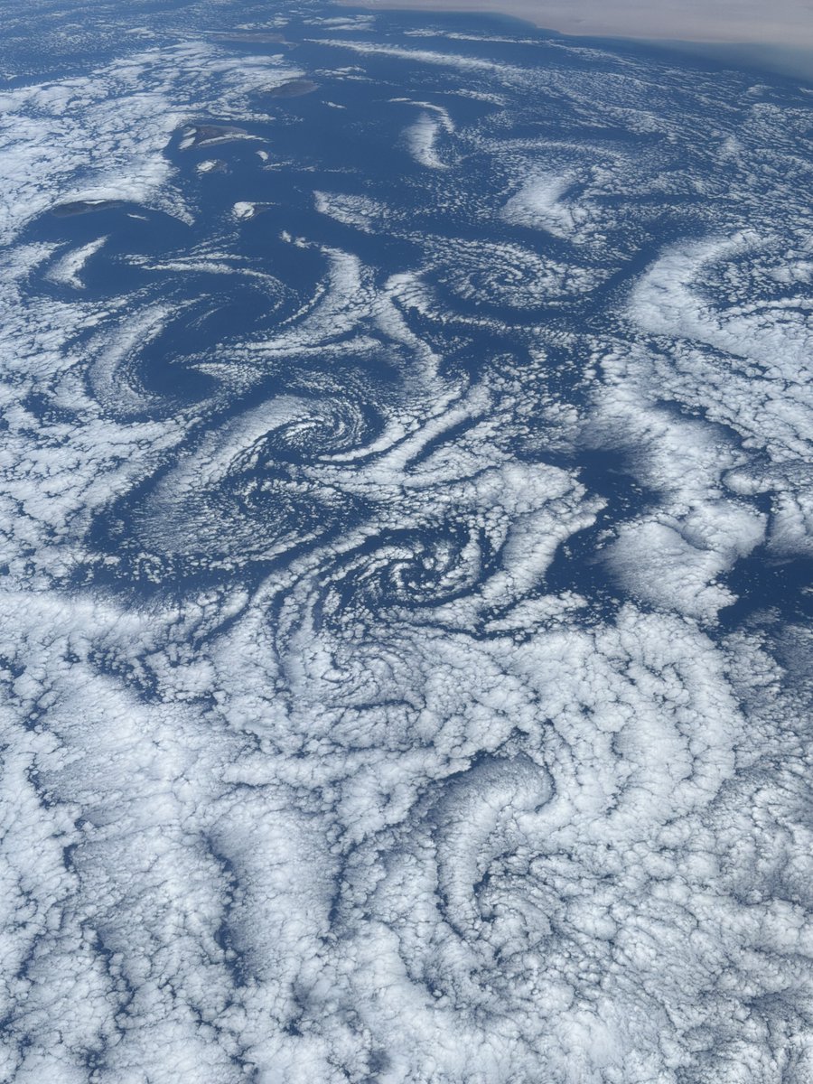 Adenot Sophie tweet media