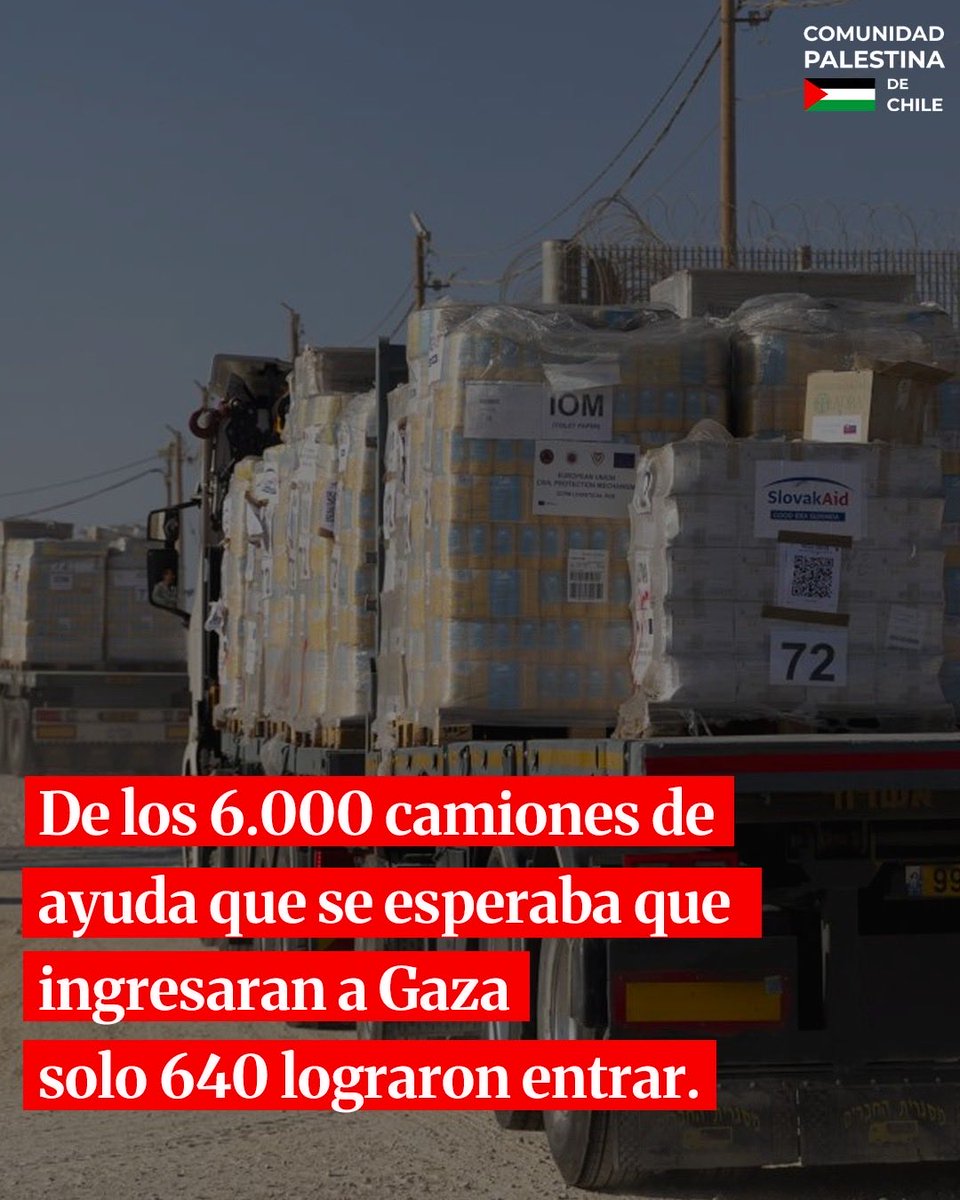 Comunidad Palestina de Chile tweet media