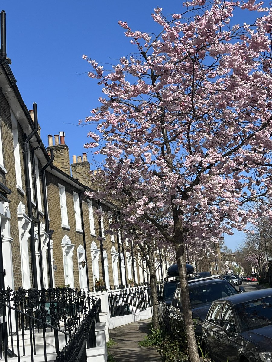 Lily Ayres tweet media